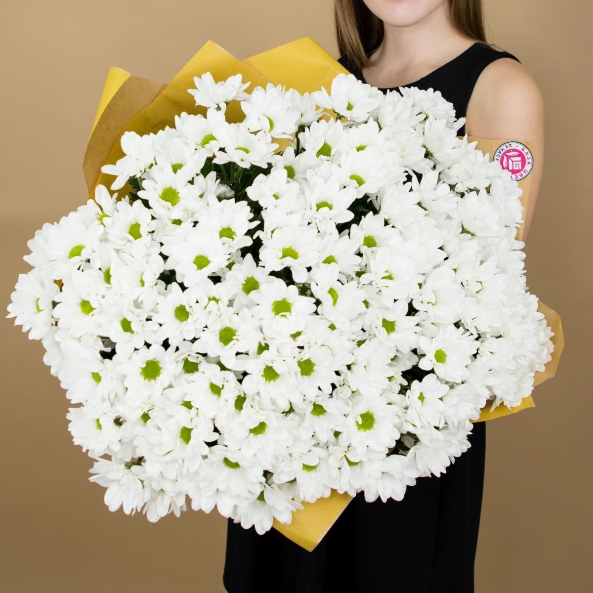 Хризантема белая (ромашка) Артикул: 2880