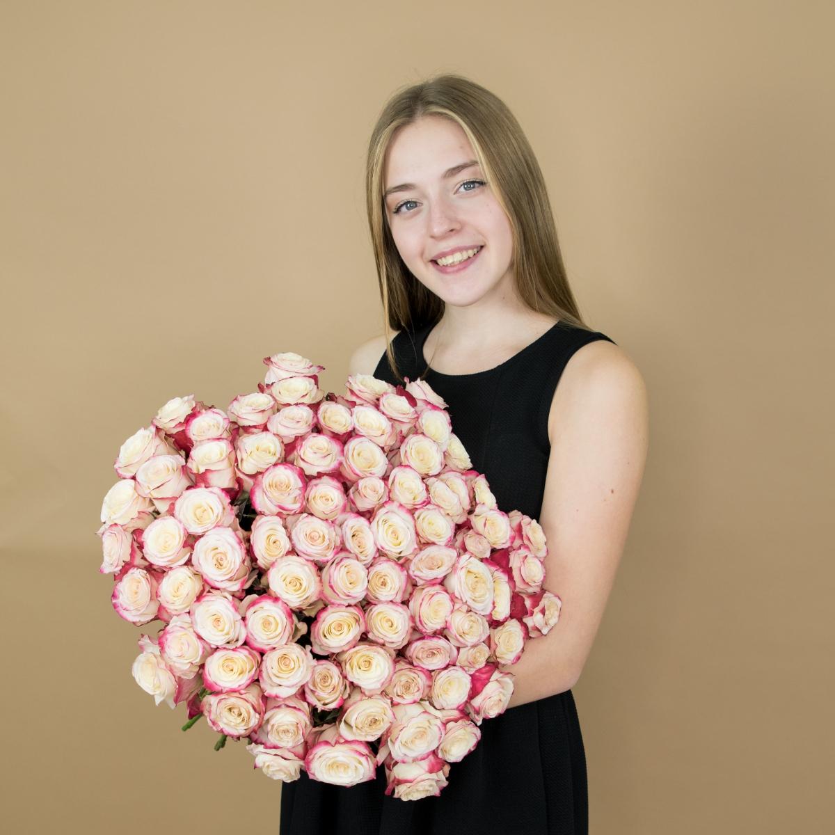 Розы красно-белые (40 см) Эквадор код  480