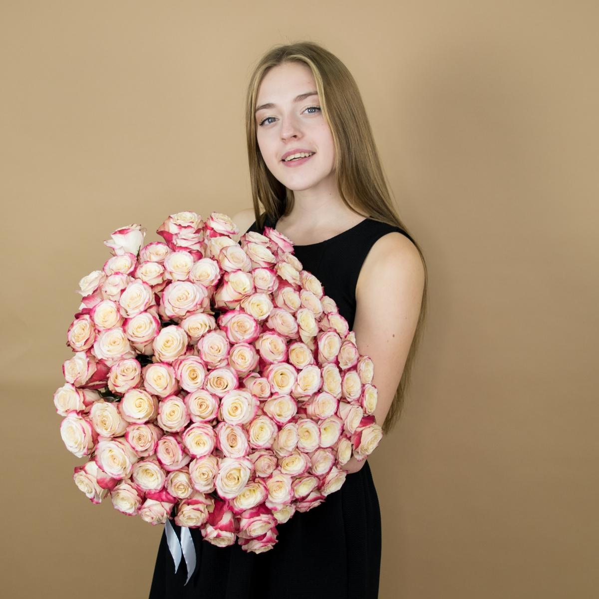 Розы красно-белые 75 шт 40 см (Эквадор) Артикул: 85280