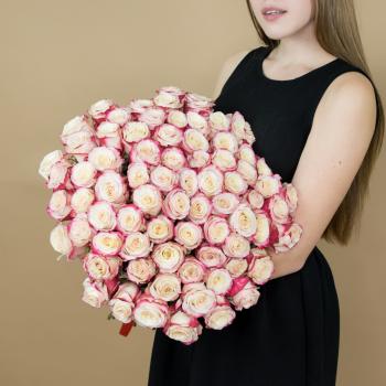 Розы красно-белые 75 шт 40 см (Эквадор) Артикул: 85280