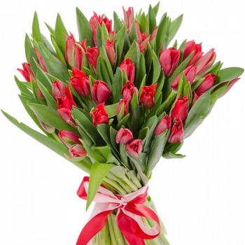 Красные тюльпаны 25 шт Артикул: 139200